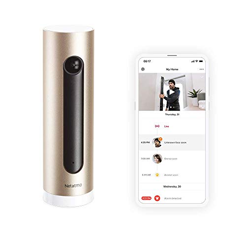 Netatmo Smarte Überwachungskamera Innen, Wlan, Bewegungserkennung, Nachtsicht, Ohne Abonnement, NSC01-EU (Welcome), Gold, 1 Stück (1er Pack)