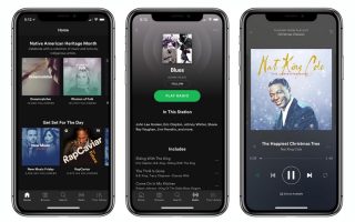 Endlich: Spotify App für iPhone X optimiert