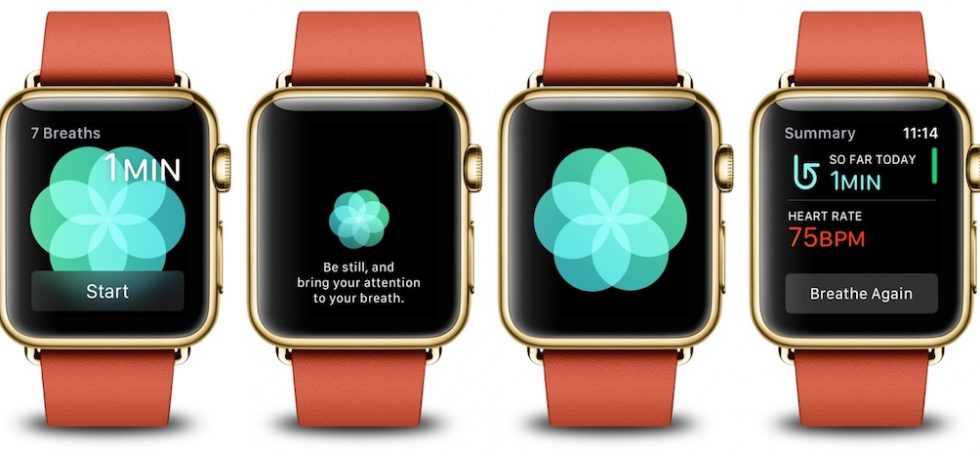 Bloomberg: Apple arbeitet an Apple Watch mit EKG