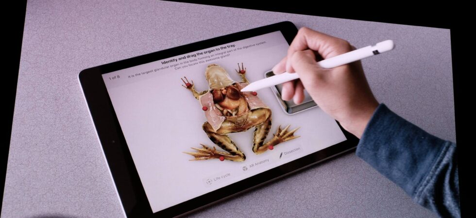 Apple Pencil Gerüchte: Magnetische Spitzen und USB-C?