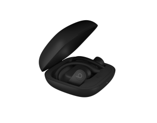 Powerbeats Pro: Apple verrät neue True Wireless-Kopfhörer in iOS 12.2