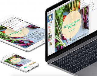 iWork-Update: Pages, Numbers und Keynote bekommen neue Vorlagen, Formen und weitere Features unter iOS 14