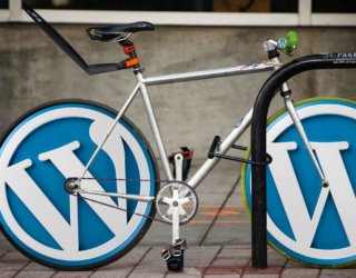 WordPress – das weit verbreitete CMS in Kombination mit einem Onlineshop betreiben