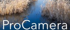 Gratis für Apfellike-Leser: „ProCamera“ eBook mit Tipps für bessere iPhone-Fotos