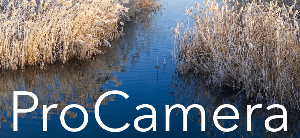 Gratis für Apfellike-Leser: „ProCamera“ eBook mit Tipps für bessere iPhone-Fotos